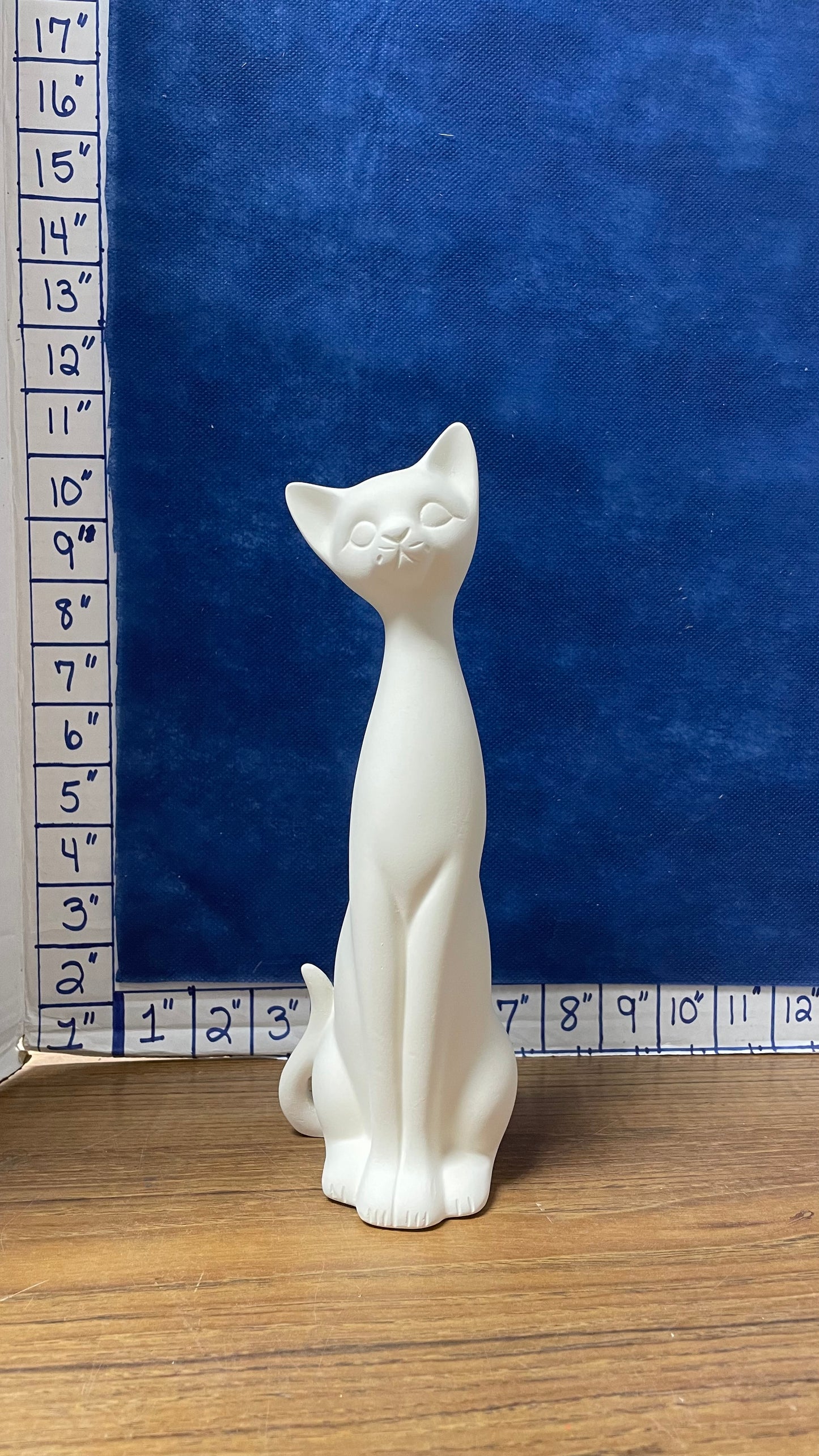 Cat siamese