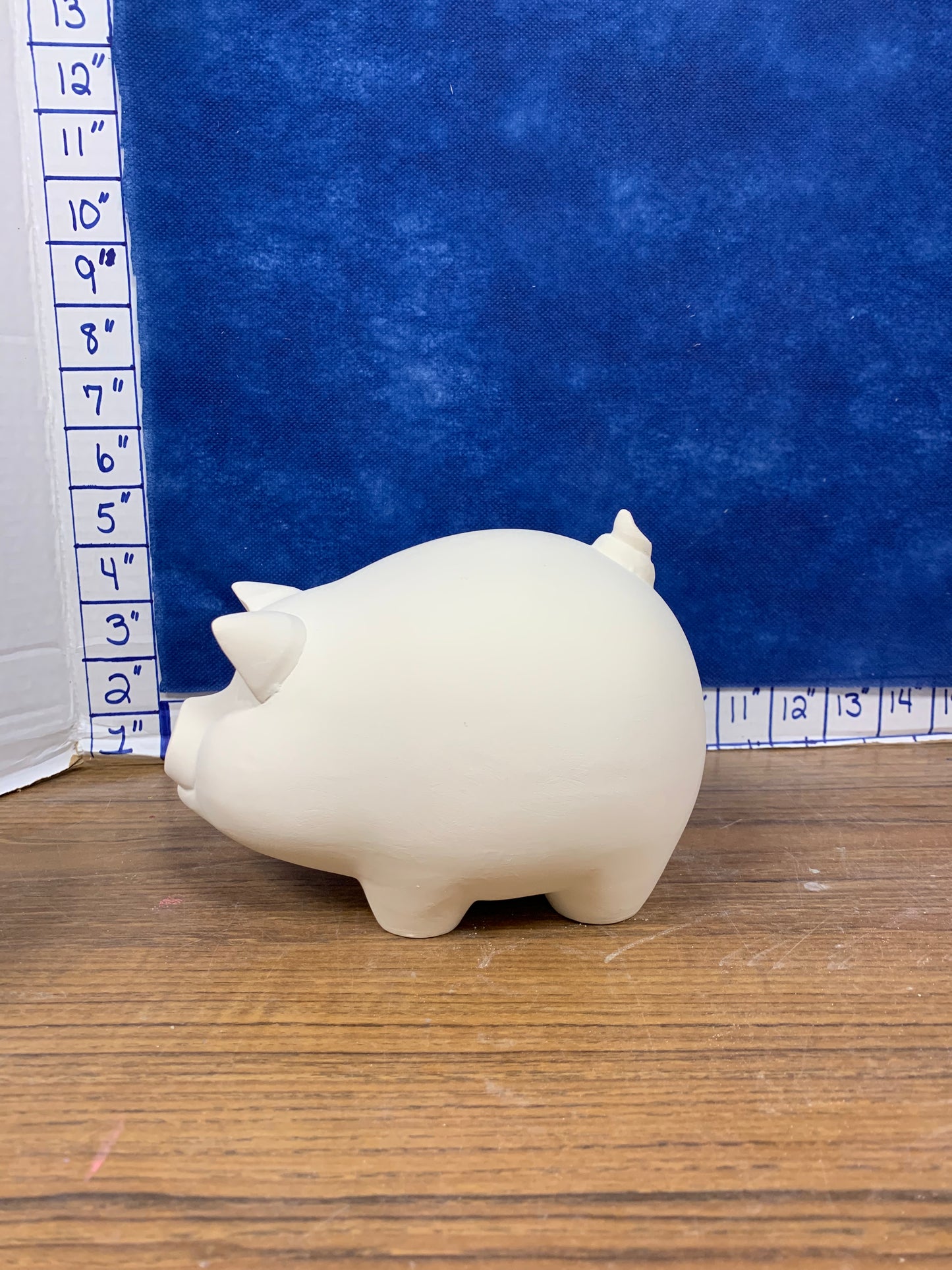 Cute chubby pig