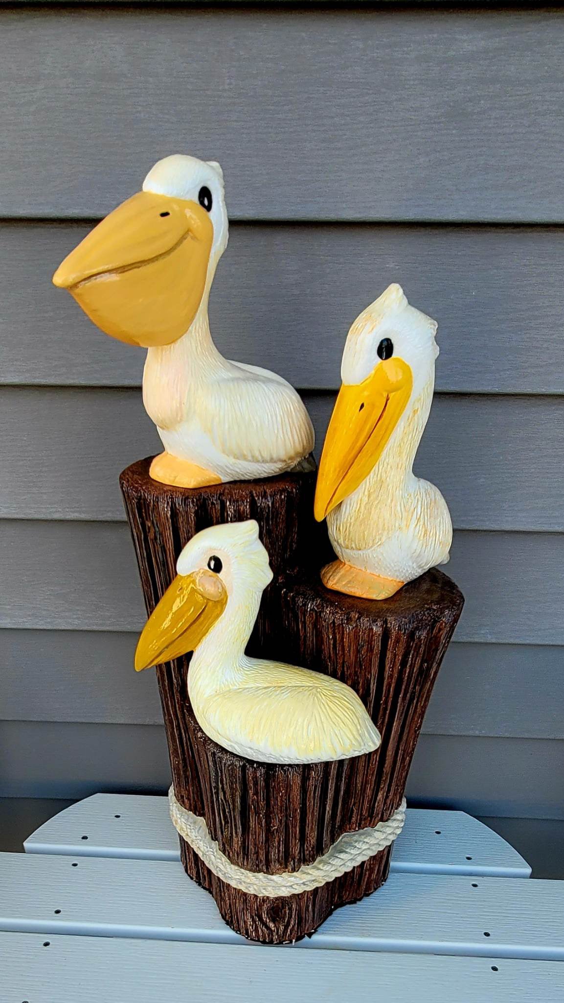 Pelican “Paul”