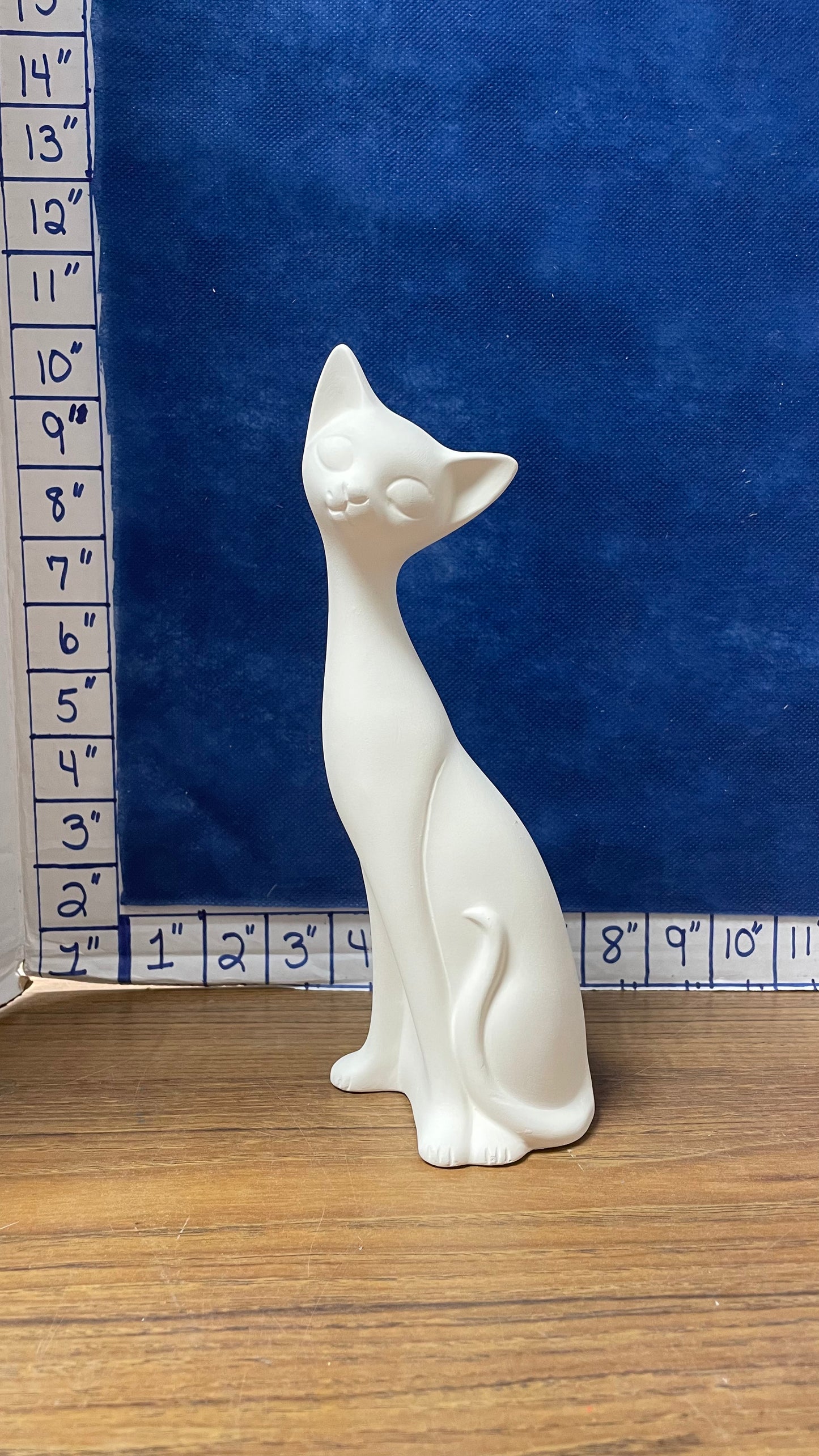 Cat siamese side sitting