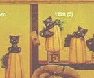 cat behind pumpkin