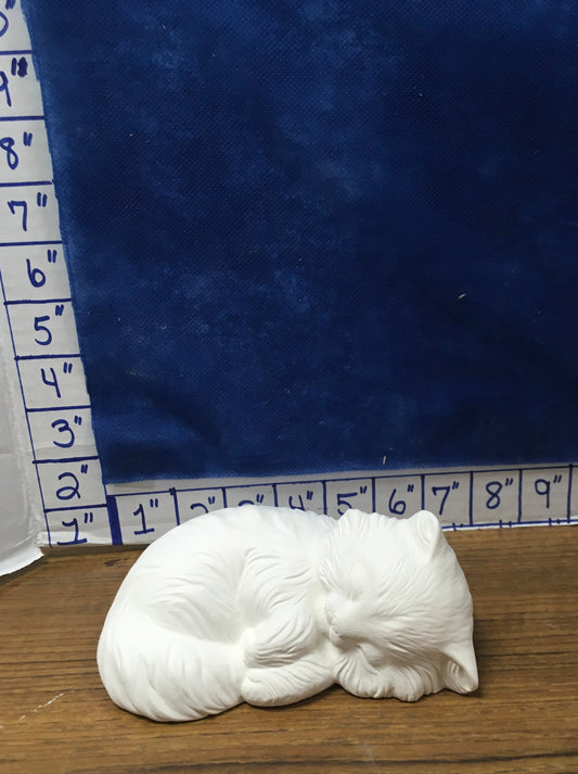 cat sleeping persian