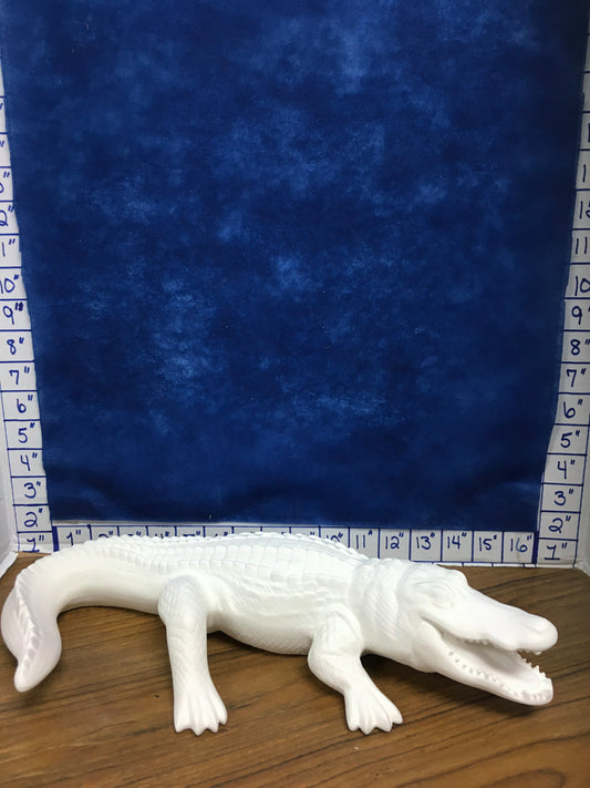 Alligator with teeth
