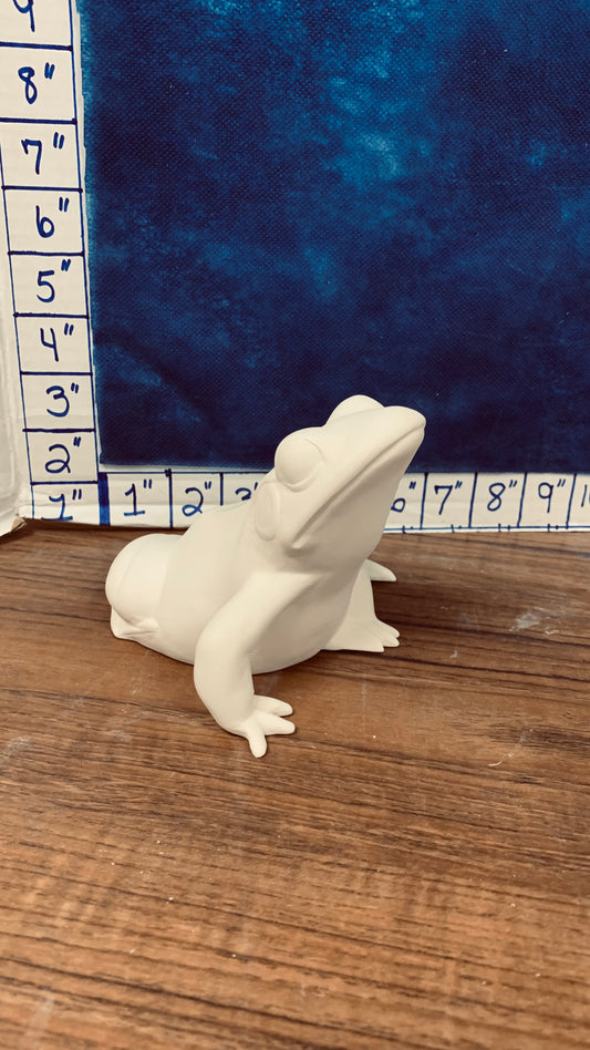 Frog looking up