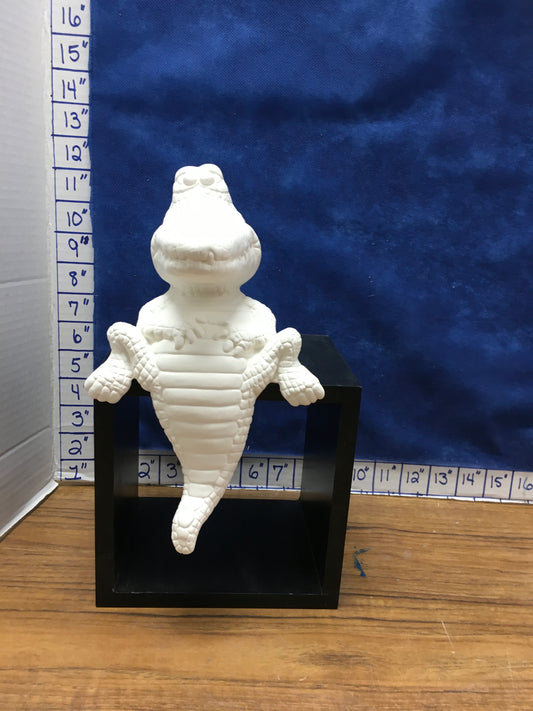 Alligator sitting medium