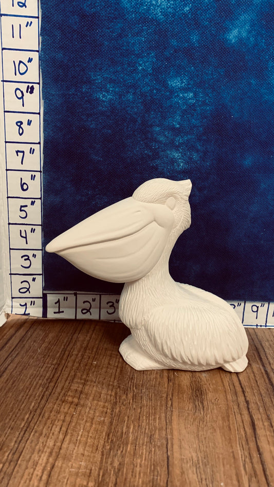Pelican “Peter”