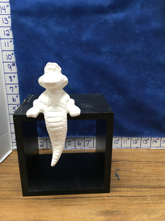 Alligator sitting small
