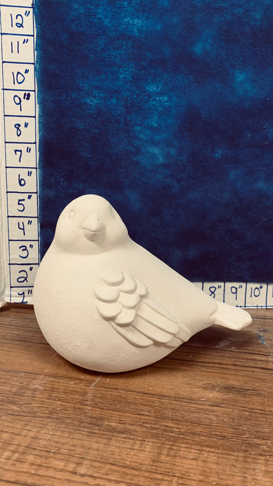 Bird