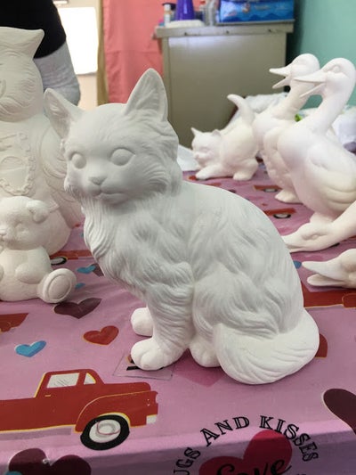Cat persian