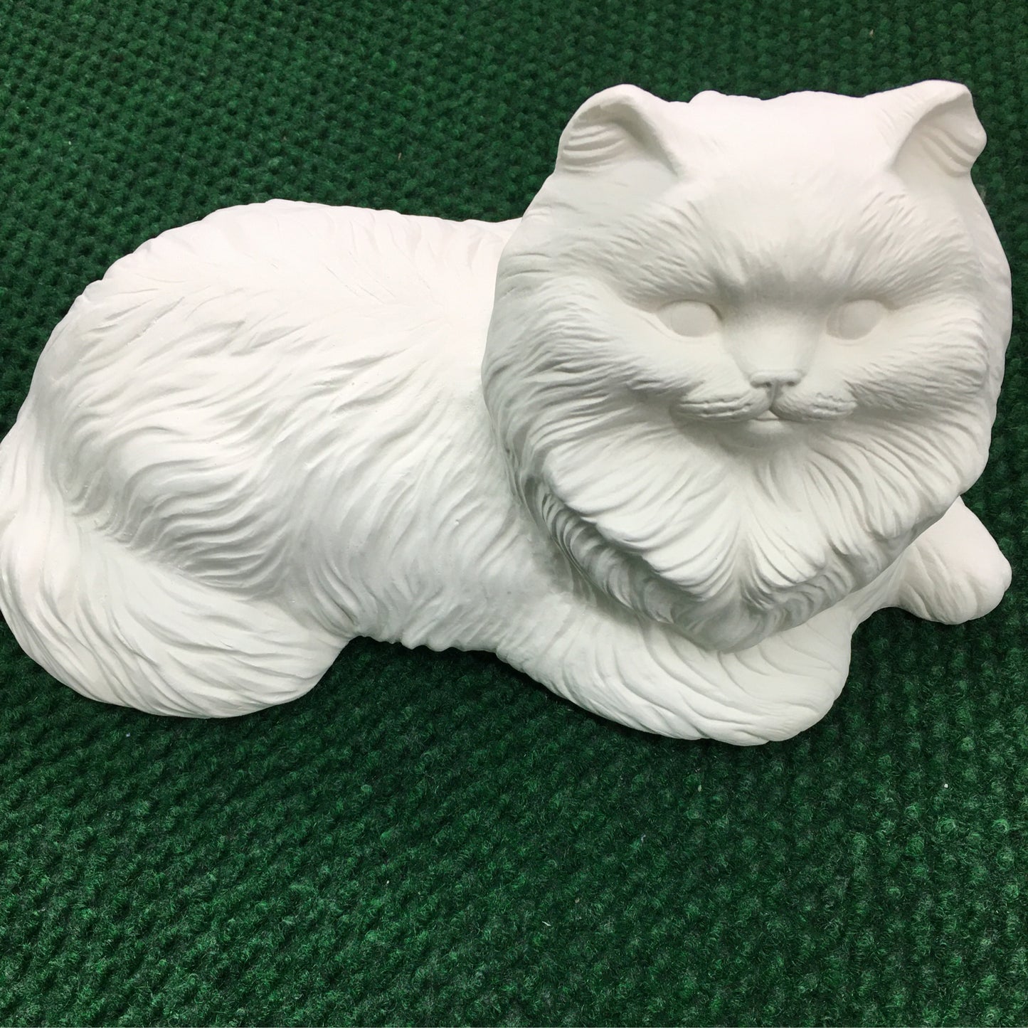Cat lying persian