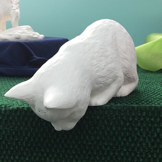 shelf Cat