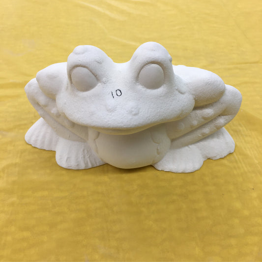 Frog medium
