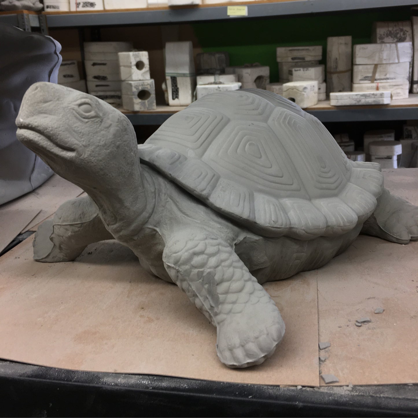 Turtle Large