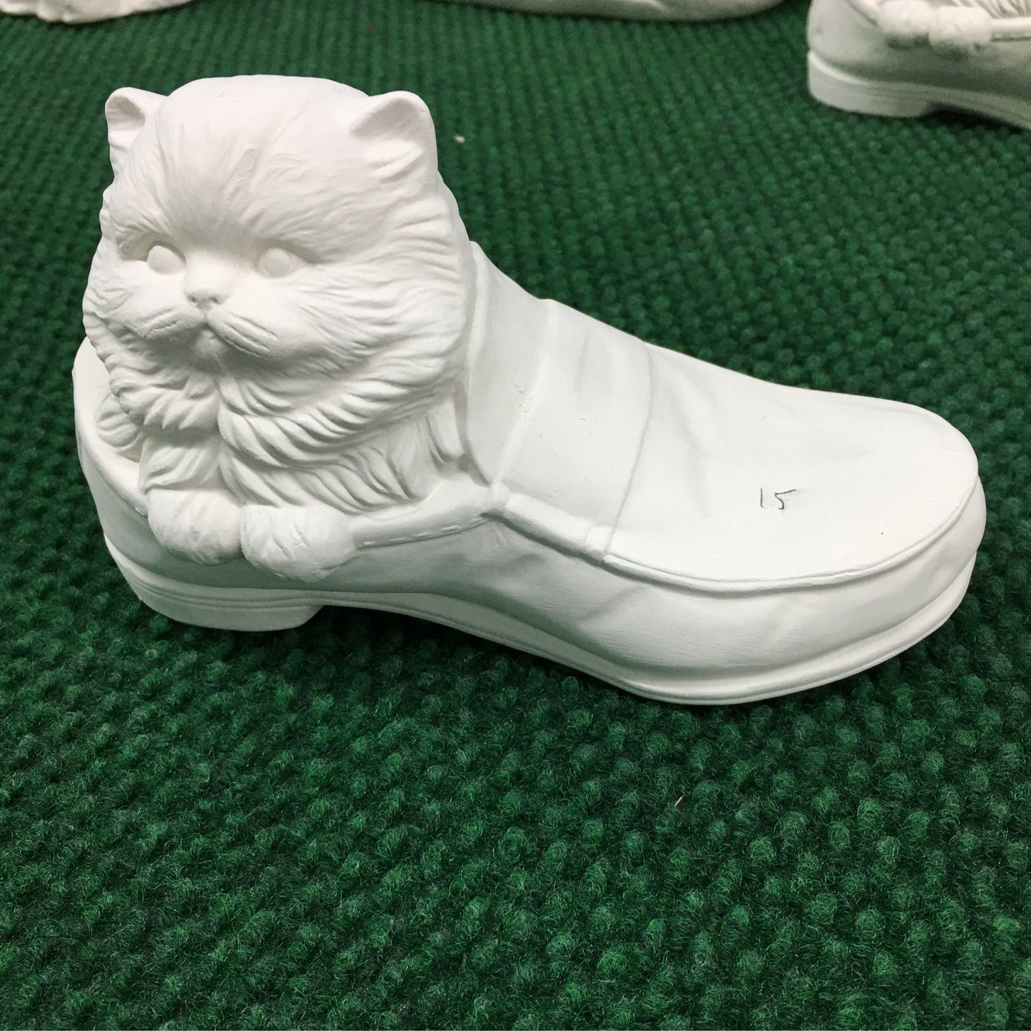 kitten in shoe