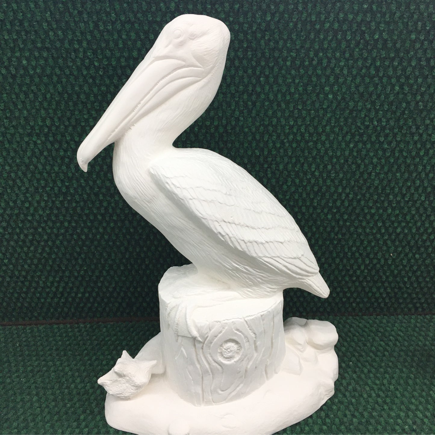 Pelican on stump