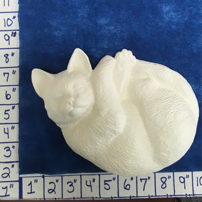 Cat sleeping