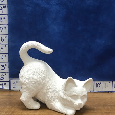 Cat playing