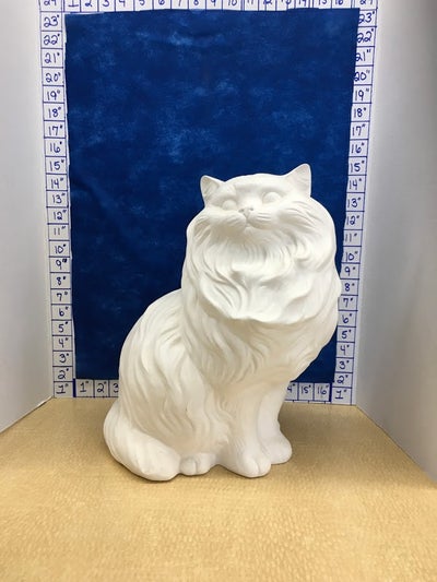 Cat Persian Lg