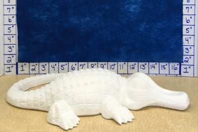 Alligator small