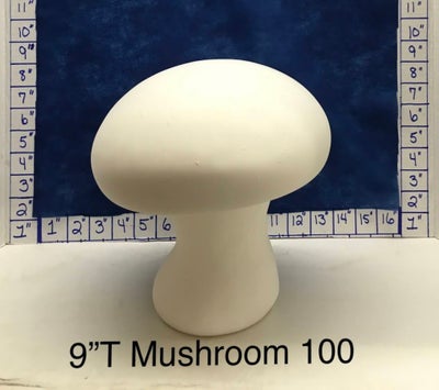 Garden Mushroom