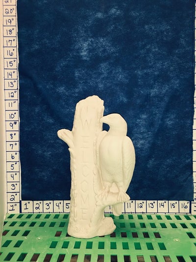 Welcome eagle