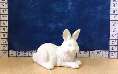 Bunny Laying