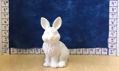 Bunny Sitting